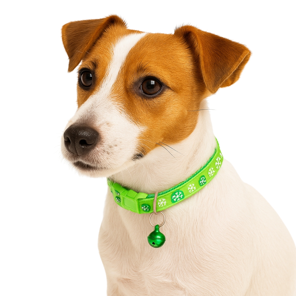 ZWI/OBROŻA DLA ZWIERZAT z DZ Cena 1 szt. (12/100)