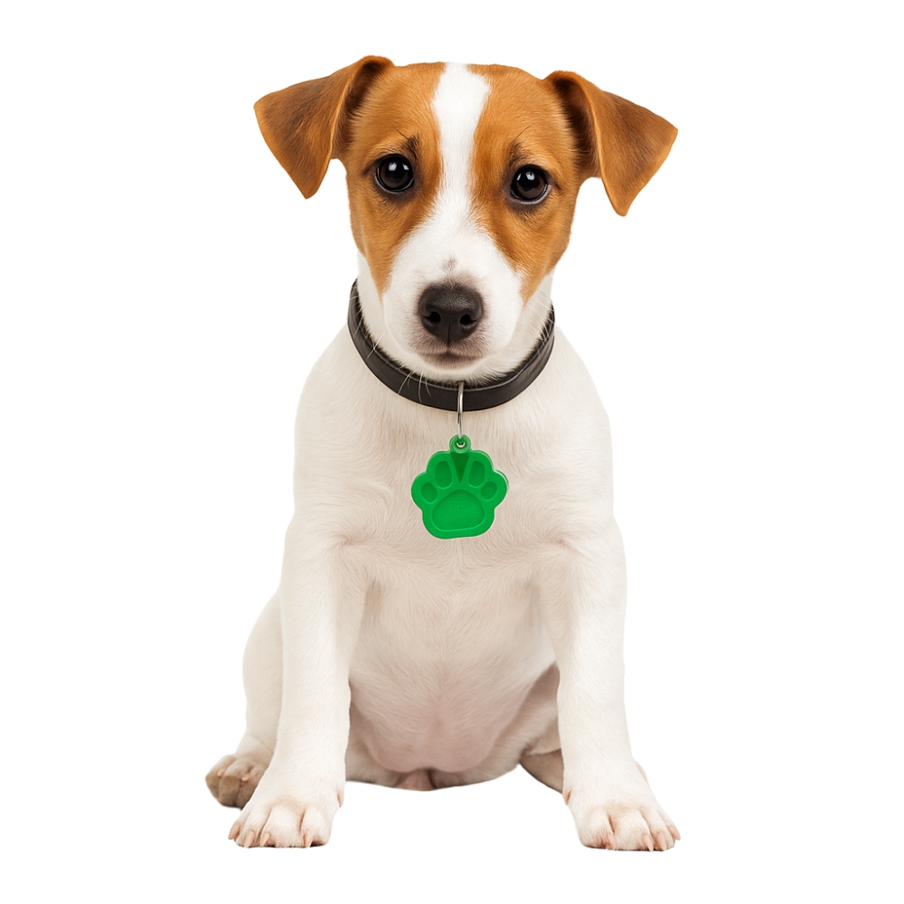 ZWI/PRZYWIESZKA METAL Wzór ŁAPA Cena 1szt (12/200)