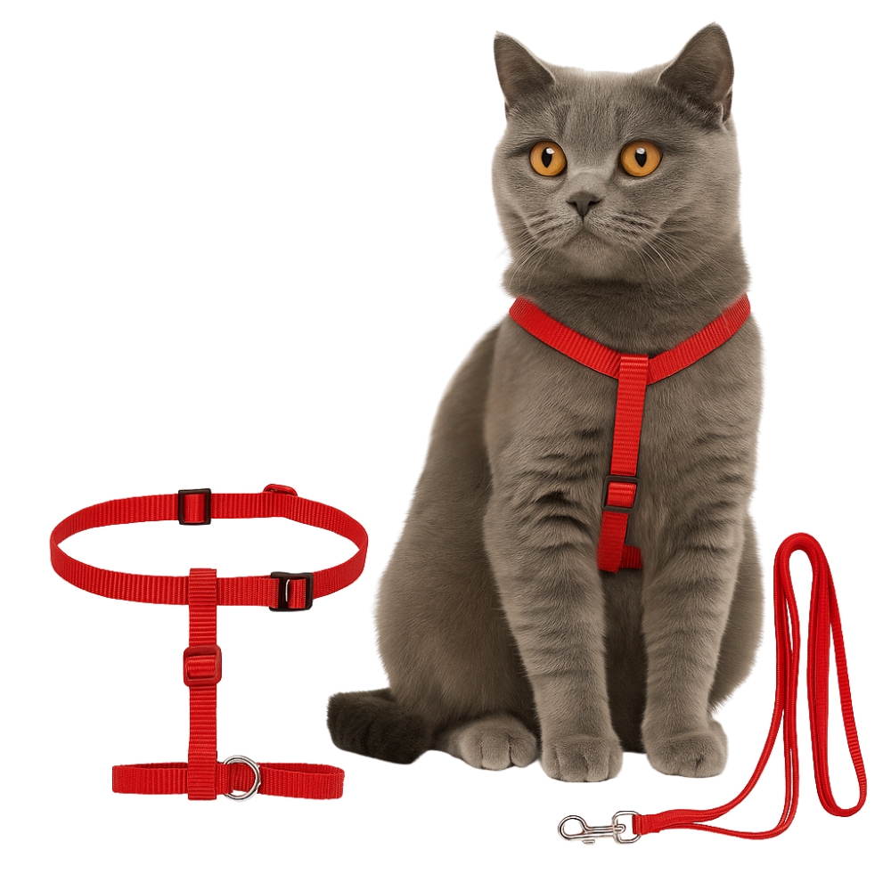 ZWI/SMYCZ Z OBROŻĄ DLA KOTA (240)