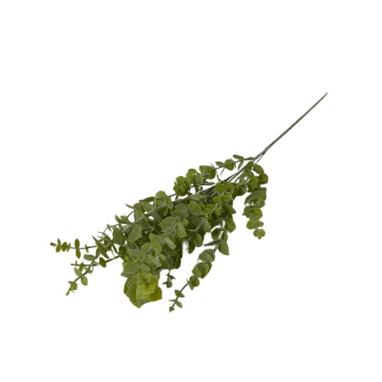 KWI/KWIATY GAŁAZKA EUKALIPTUS dł.73cm (850) -zdjęcie numer 1