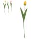 Kwiat Tulipan piankow 1szt. dł.47cm FLO1106 (72) -zdjęcie numer 1