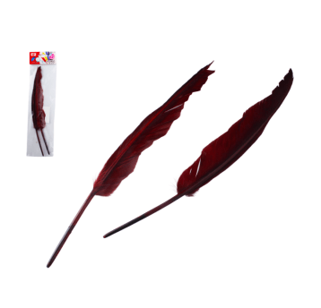 DEK/PIÓRO BURGUNDOWE dł.30cm kpl.2szt (12/288)