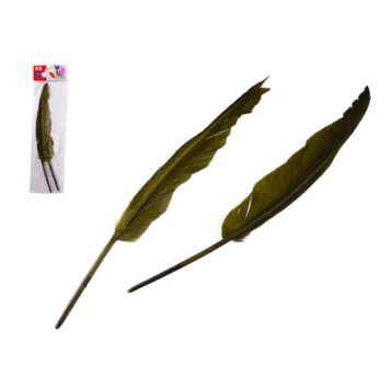 DEK/PIÓRO KHAKI wys.30cm kpl.2szt (12/288)