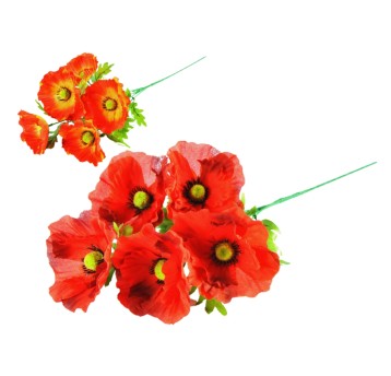 KWI/BUKIECIK MAKU (144/288)