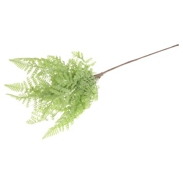 KWI/BUKIECIK PAPROĆ (50/300)