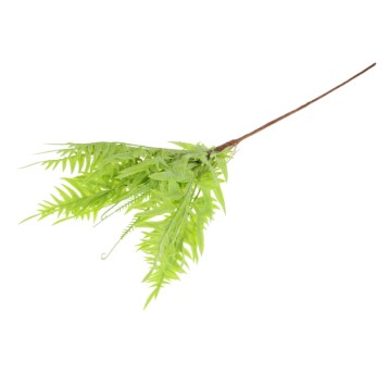 KWI/BUKIECIK ZIELONY NA PIKU (50/300)