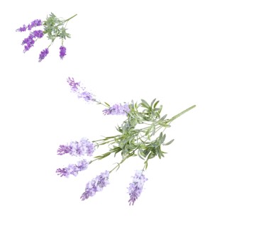 KWI/BUKIET LAWENDA Tw.Szt. dł.50cm. 7gał. (24/192)