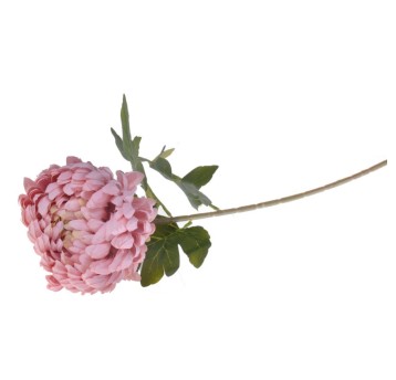 KWI/CHRYZANTEMA POJEDYŃCZA dł.70cm (24/288)