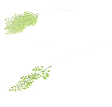 KWI/GAŁĄZKA DEKOR. ZIELONA dł.50cm