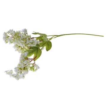 KWI/GAŁĄZKA KONICZYNY BIAŁEJ (24/240)