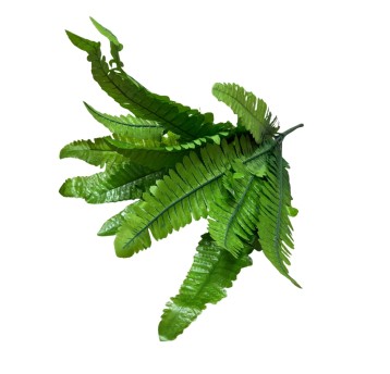 KWI/KWIAT SZTUCZNY PAPROĆ BUKIET 50cm (300)