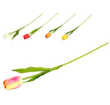 KWI/KWIAT TULIPAN 1szt. dł.50cm FLZ020 (720)