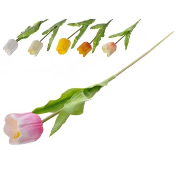KWI/KWIAT TULIPAN 1szt. dł.66cm FLO299 (36) *BR*