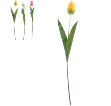 Kwiat Tulipan piankow 1szt. dł.47cm FLO1106 (72)BR