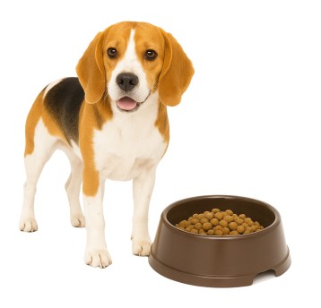 ZWI/MISKA DLA ZWIERZĄT z Tw.Szt. Okrągła.PK1 (120)