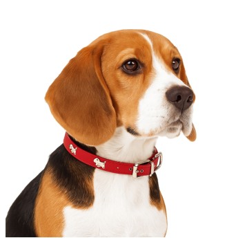 ZWI/OBROŻA DLA PSA Z EKO-SKÓRY Wzór PIES (12/600)