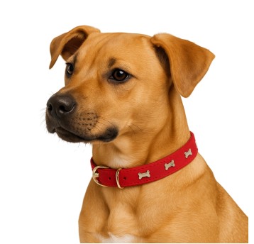 ZWI/OBROŻA DLA ZWIERZ. EKO-SKÓRA Cena 1sz(12/1200)