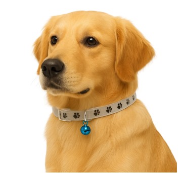 ZWI/OBROŻA DLA ZWIERZ. SYLIKON ŁAPA Cena1szt (12)