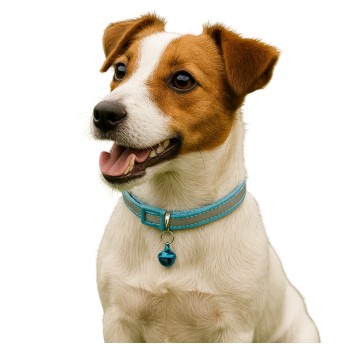 ZWI/OBROŻA DLA ZWIERZAT ODBL. Cena 1szt. (12/100)