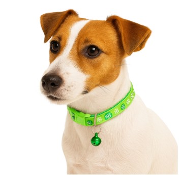 ZWI/OBROŻA DLA ZWIERZAT z DZ Cena 1 szt. (12/100)