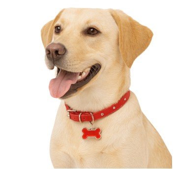 ZWI/PRZYWIESZKA METAL Wzór KOŚĆ Cena 1szt (12/100)