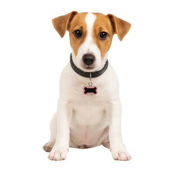 ZWI/PRZYWIESZKA METAL WZÓR KOŚĆ Cena 1szt (12/100)