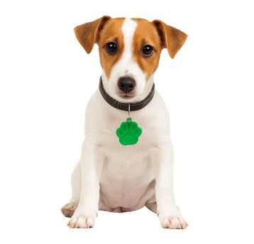 ZWI/PRZYWIESZKA METAL Wzór ŁAPA Cena 1szt (12/200)