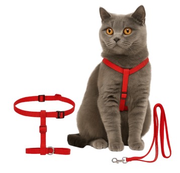 ZWI/SMYCZ Z OBROŻĄ DLA KOTA (240)