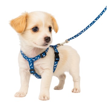 ZWI/SMYCZ Z OBROŻĄ Wzór KOŚĆ Cena1szt. (12/1200)