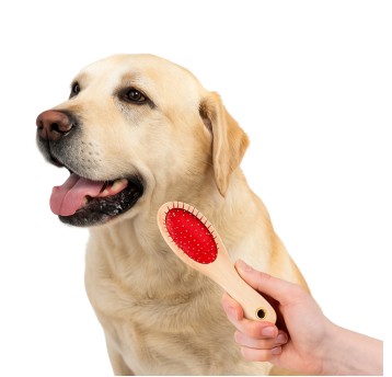 ZWI/SZCZOTKA DLA ZWIERZAKA 2 STR. DREWNO (12/144)