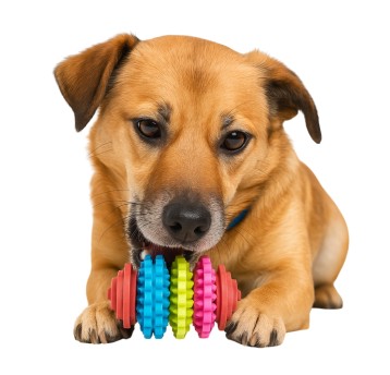 ZWI/ZABAWKA DLA ZWIERZAKA GRYZAK DENTYS. (12/480)